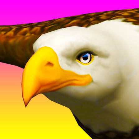Eagle Ride Eagle Ride