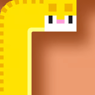 Longcat Longcat