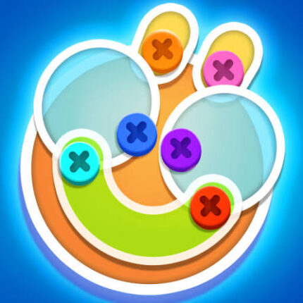 Screw Jam Puzzle