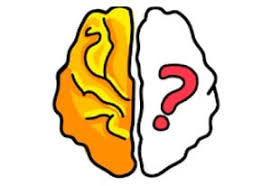 Brain Out Online Riddle Solver